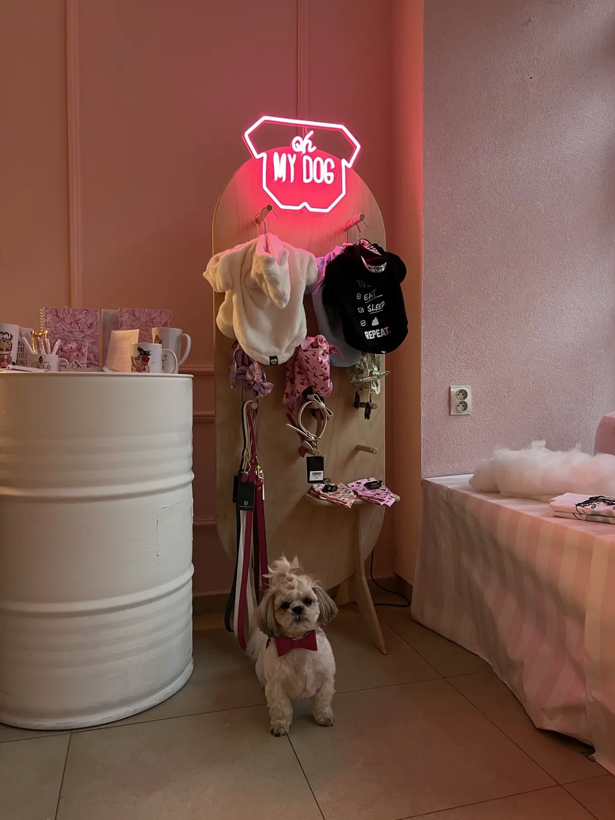 Neon My Dog — realizace Neonworld