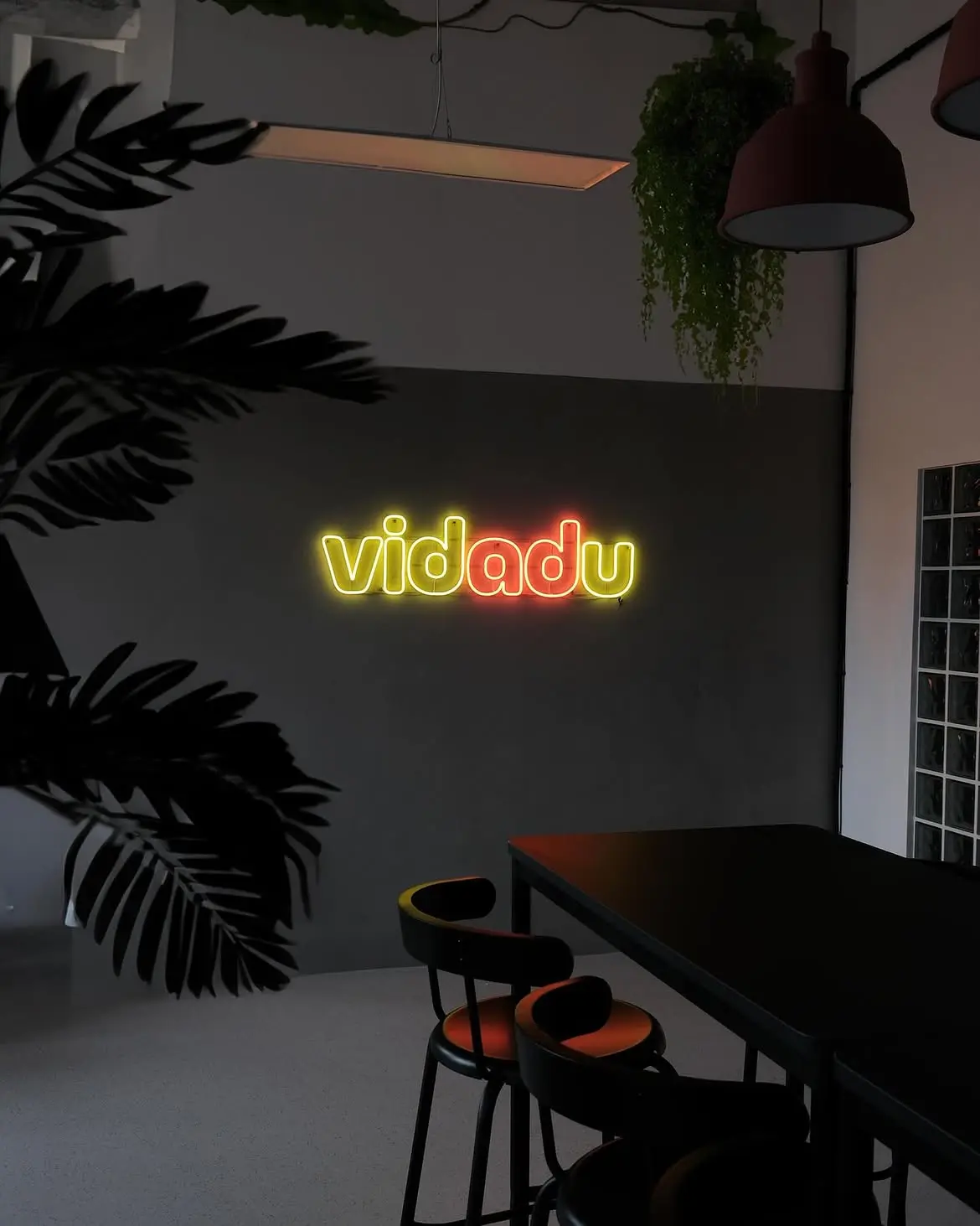 Neon Vidadu — realizace Neonworld